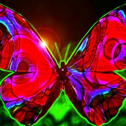 Пазл: Бабочка