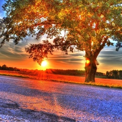 Пазл: Закат   