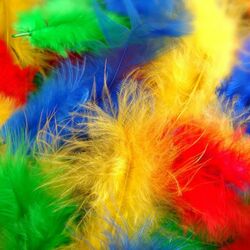 Пазл: Цветные перья