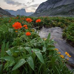 Пазл: Горный ручей