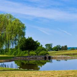 Пазл: Летний пейзаж