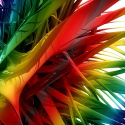 Пазл: Цветной плюмаж
