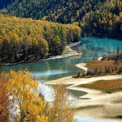 Пазл: Таежные места