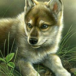 Пазл: Волчонок