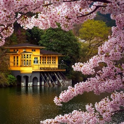 Пазл: Японский дом 