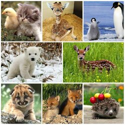 Пазл: Малышня