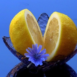 Пазл: Контраст