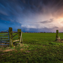 Пазл: В поле
