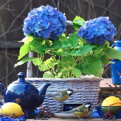 Пазл: Оттенки синего