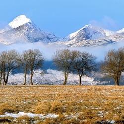Пазл: Горная местность