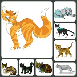 Пазл: Кошки