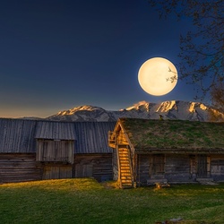 Пазл: Под луной 