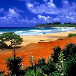 Пазл: Пустынный пляж 