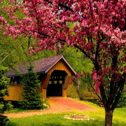 Пазл: Мостик с навесом    