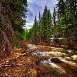 Пазл: Быстрая река 