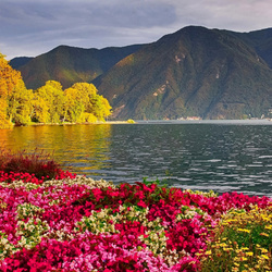 Пазл: Залив 