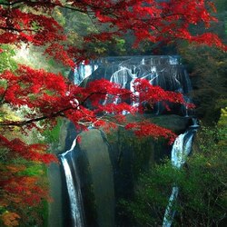 Пазл: Водопад Фукурода