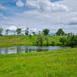 Пазл: Пейзаж