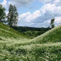 Пазл: Пушкинский заповедник
