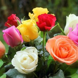 Пазл: Ассортимент