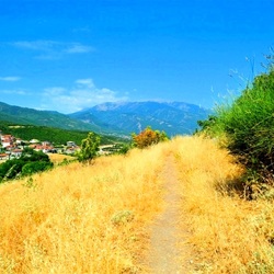 Пазл: Тропа в горной местности