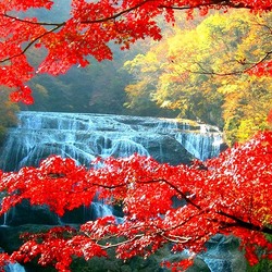 Пазл: Водопад Фукурода