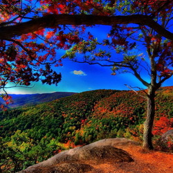 Пазл: Как прекрасен этот мир