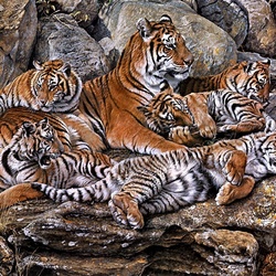 Пазл: Многодетная мать 