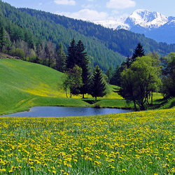 Пазл: Горный пейзаж