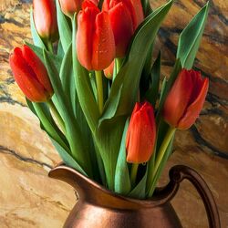 Пазл: Тюльпаны