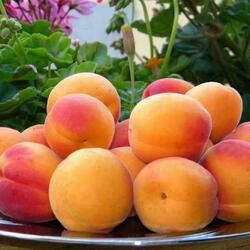 Пазл: Кому  витаминчиков