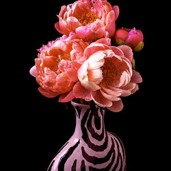 Пазл: Пионы в полосатой вазе