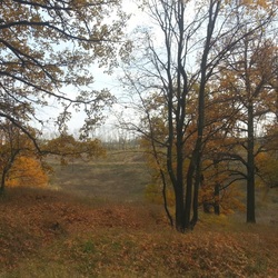 Пазл: Осень