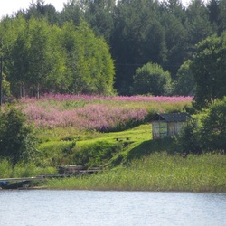 Пазл: Озеро Селигер