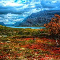 Пазл: Долина реки 