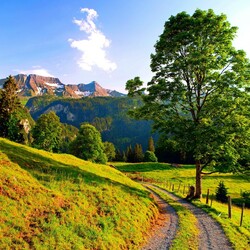 Пазл: Лето в горах 