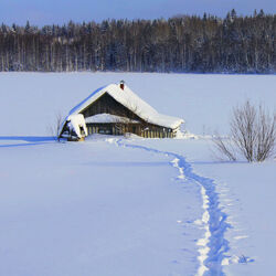 Пазл: Заимка