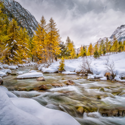 Пазл: Горная река 