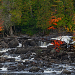 Пазл: Ранняя осень  