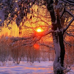 Пазл: Зимний закат 