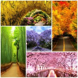 Пазл: Природные тоннели