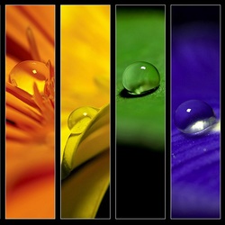 Пазл: Капля