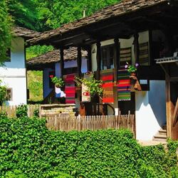 Пазл: Деревня Боженци