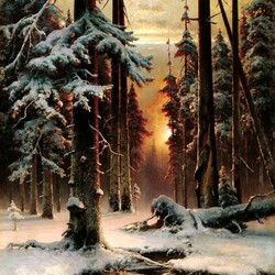 Пазл: Зимний закат в еловом лесу