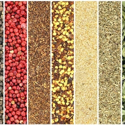 Пазл: Специи