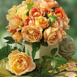 Пазл: Розы в саду моей души