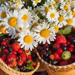 Пазл: Ромашко-ягодное лето