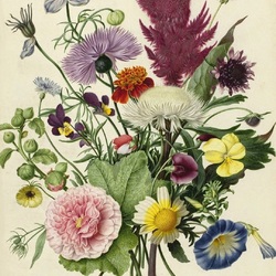 Пазл: Ботанический букет