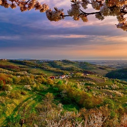 Пазл: Весна