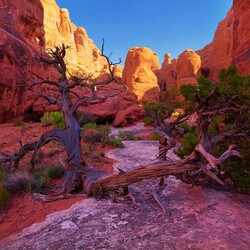 Пазл: Красные скалы 